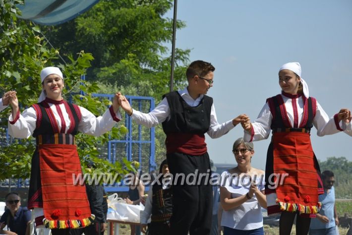 alexandriamou.gr_trikala28.5.2018435